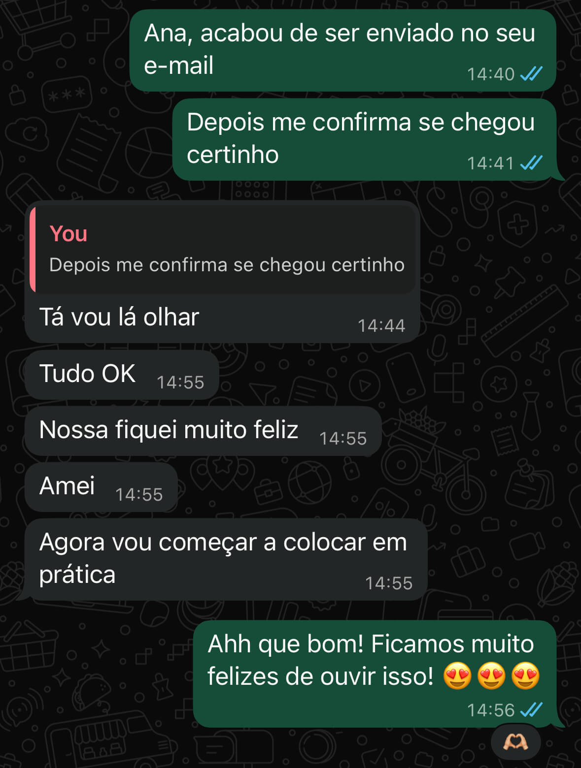 Feedback Ana Flavia S.